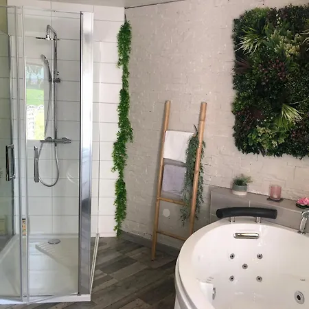 Apartment Romantique Masevaux-Niederbruck